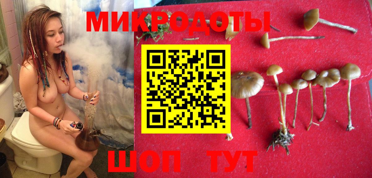 Псилоцибиновые грибы Cubensis  Вход с VPN  Галлюциногенные грибы Cubensis  Соликамск 